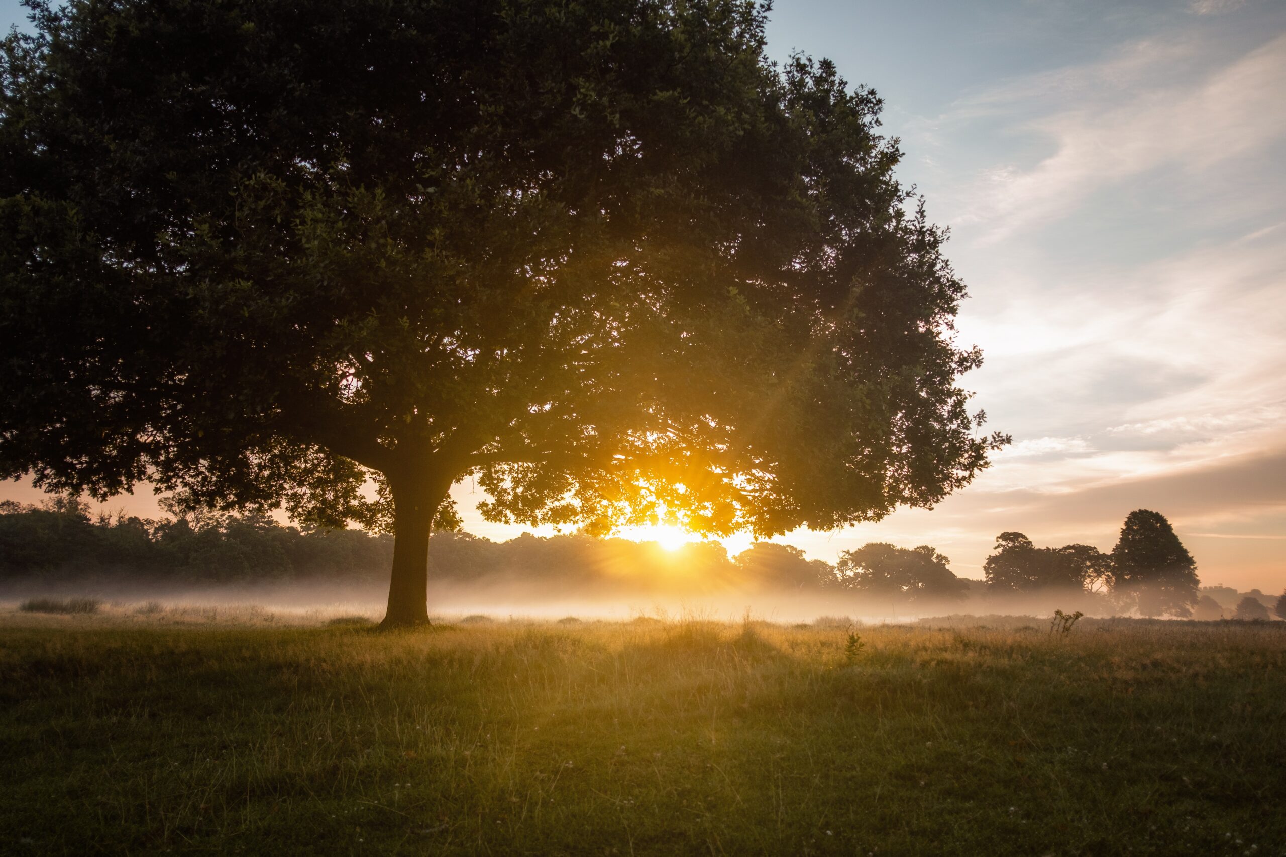 “The first step to win yourself is wake up early” – Sukant Ratnakar