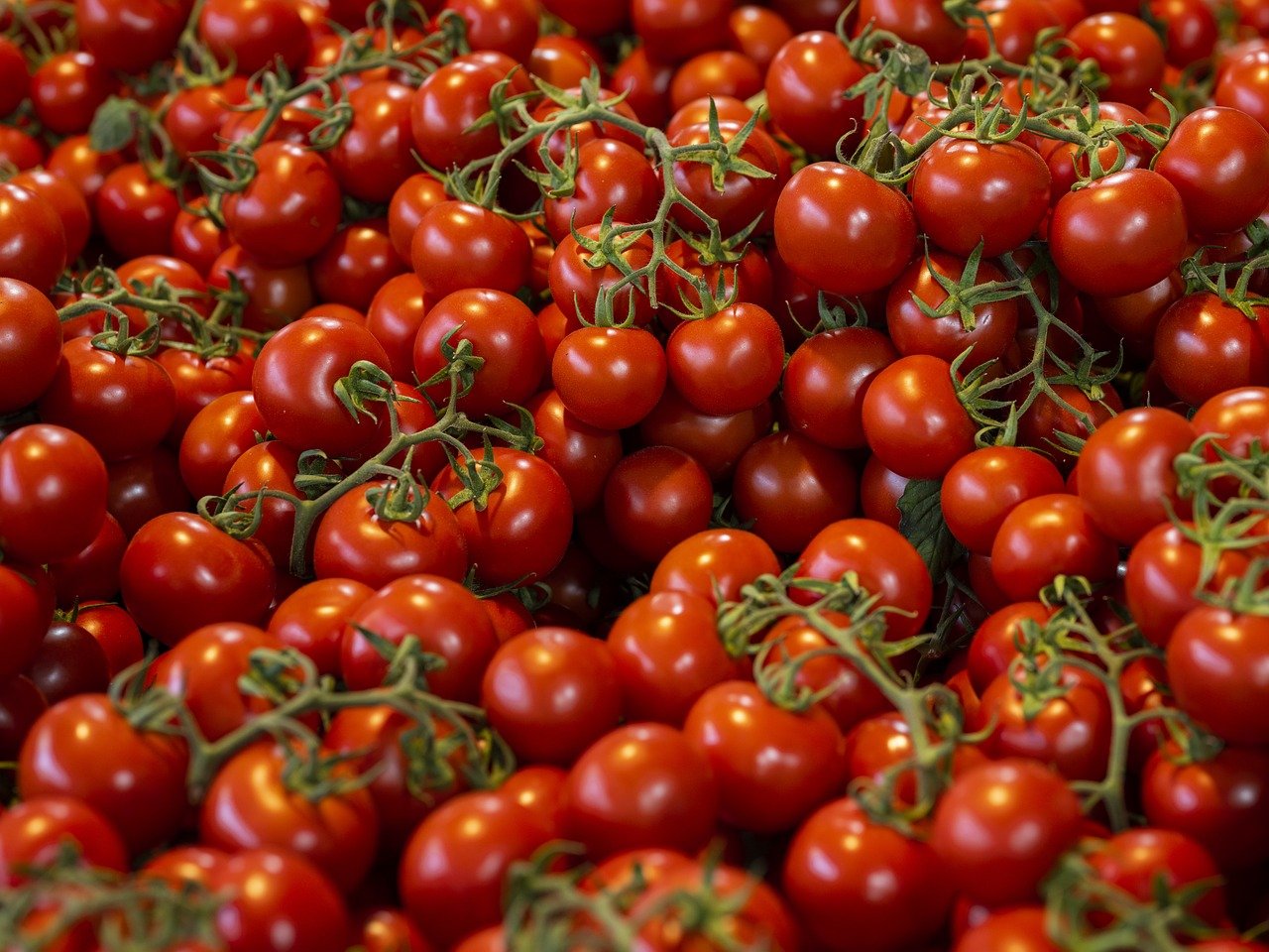 Productivity Growth: How Tomatoes Lead To Better Work In Less Time